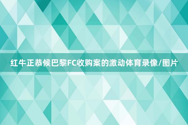 红牛正恭候巴黎FC收购案的激动体育录像/图片