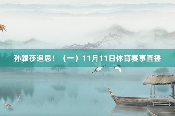 孙颖莎追思！（一）11月11日体育赛事直播