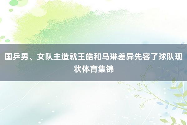 国乒男、女队主造就王皓和马琳差异先容了球队现状体育集锦