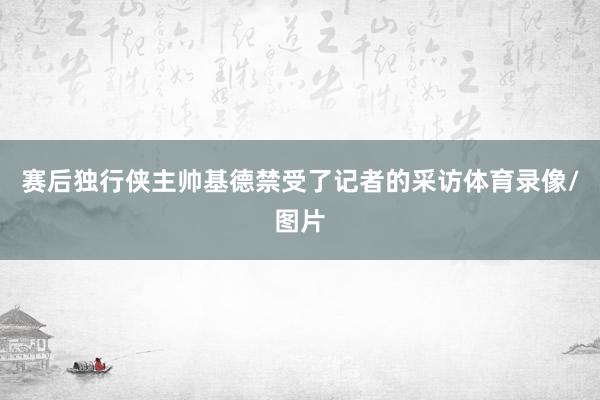 赛后独行侠主帅基德禁受了记者的采访体育录像/图片