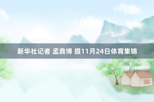 新华社记者 孟鼎博 摄11月24日体育集锦