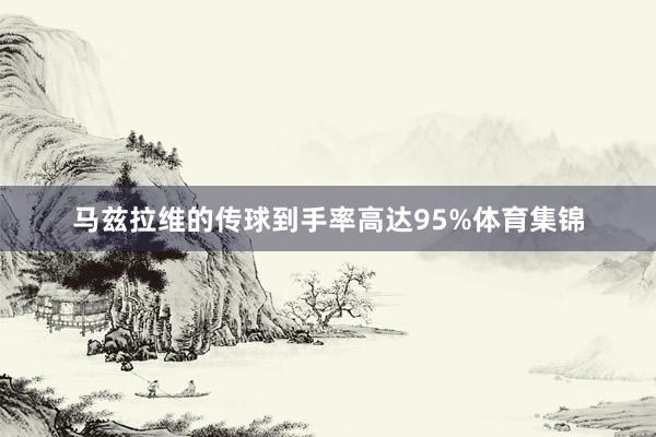 马兹拉维的传球到手率高达95%体育集锦