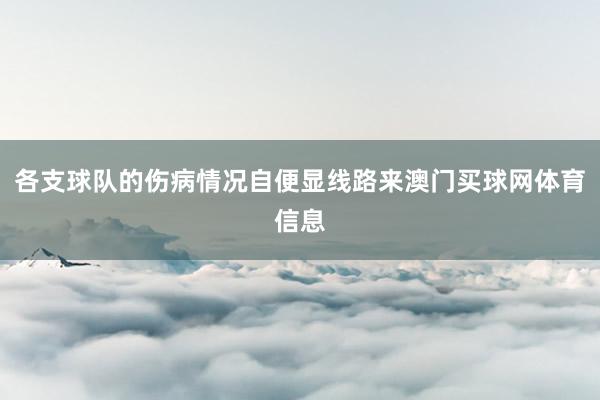 各支球队的伤病情况自便显线路来澳门买球网体育信息