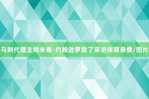 马刺代理主帅米奇-约翰逊罗致了采访体育录像/图片