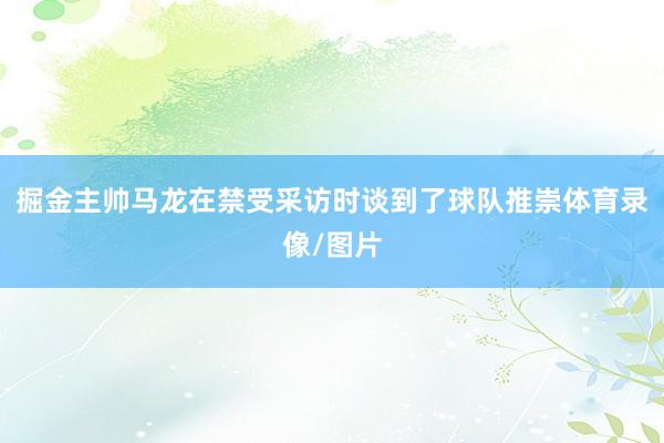 掘金主帅马龙在禁受采访时谈到了球队推崇体育录像/图片