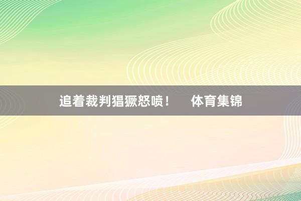 追着裁判猖獗怒喷！    体育集锦