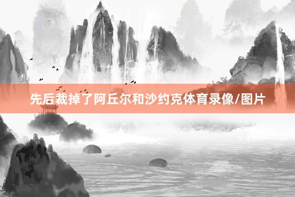 先后裁掉了阿丘尔和沙约克体育录像/图片