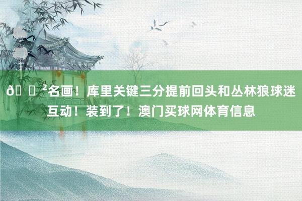 😲名画！库里关键三分提前回头和丛林狼球迷互动！装到了！澳门买球网体育信息