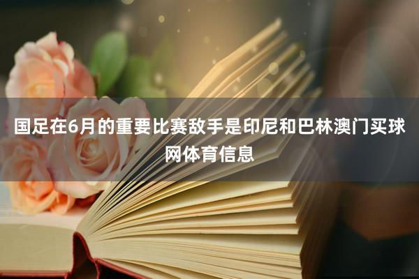 国足在6月的重要比赛敌手是印尼和巴林澳门买球网体育信息