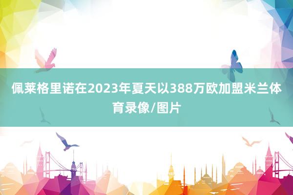 佩莱格里诺在2023年夏天以388万欧加盟米兰体育录像/图片