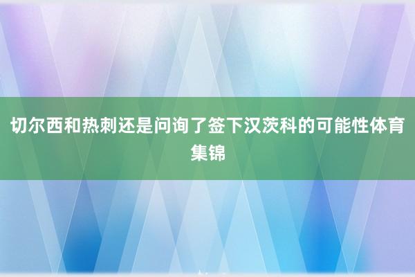 切尔西和热刺还是问询了签下汉茨科的可能性体育集锦